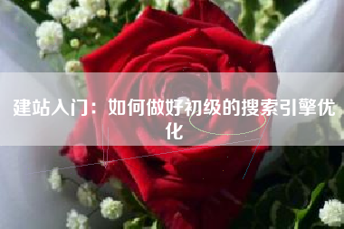 建站入门：如何做好初级的搜索引擎优化