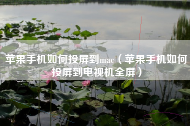 苹果手机如何投屏到mac（苹果手机如何投屏到电视机全屏）