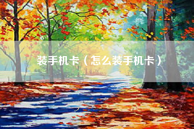 装手机卡（怎么装手机卡）