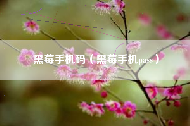 黑莓手机码（黑莓手机pass）