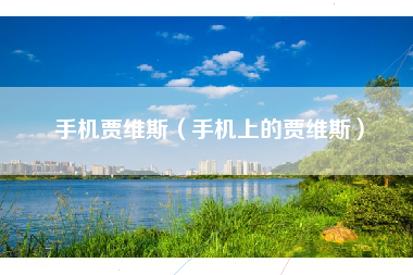 手机贾维斯（手机上的贾维斯）