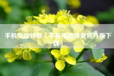 手机电池修复（手机电池修复官方版下载）