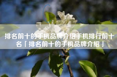 排名前十的手机品牌介绍手机排行前十名「排名前十的手机品牌介绍」