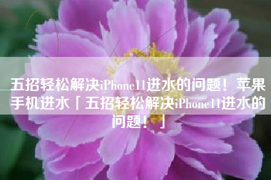 五招轻松解决iPhone11进水的问题！苹果手机进水「五招轻松解决iPhone11进水的问题！」