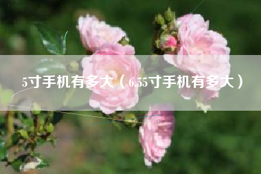 5寸手机有多大（6.55寸手机有多大）