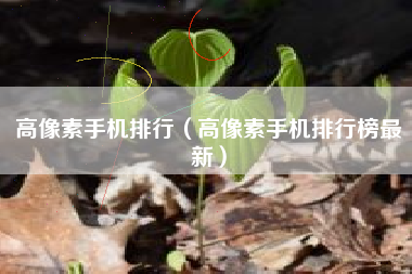 高像素手机排行（高像素手机排行榜最新）
