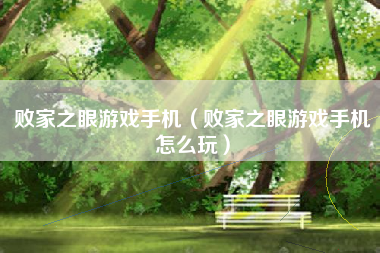 败家之眼游戏手机（败家之眼游戏手机怎么玩）