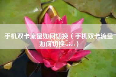 手机双卡流量如何切换（手机双卡流量如何切换 vivo）