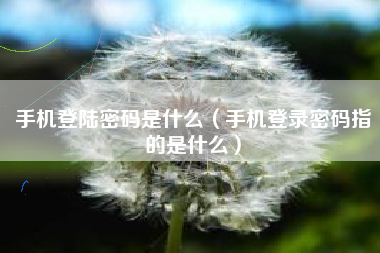 手机登陆密码是什么（手机登录密码指的是什么）