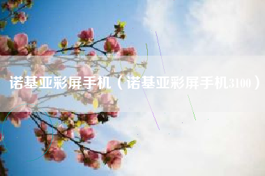 诺基亚彩屏手机（诺基亚彩屏手机3100）
