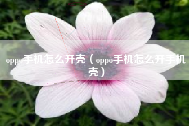 oppo手机怎么开壳（oppo手机怎么开手机壳）