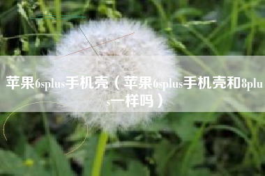 苹果6splus手机壳（苹果6splus手机壳和8plus一样吗）