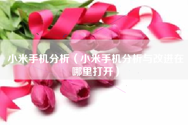 小米手机分析（小米手机分析与改进在哪里打开）