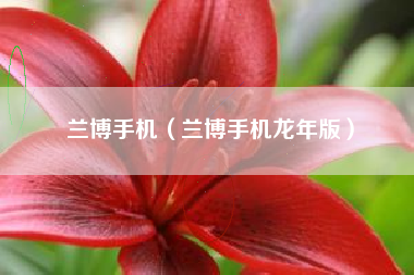 兰博手机（兰博手机龙年版）