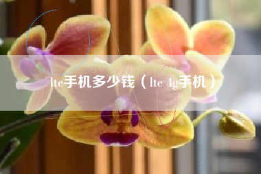 lte手机多少钱（lte 4g手机）