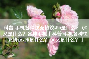 科普 手机各种快充协议-PD是什么？ QC又是什么？各种手机「科普 手机各种快充协议-PD是什么？ QC又是什么？」