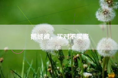 鹅绒被，买对不买贵