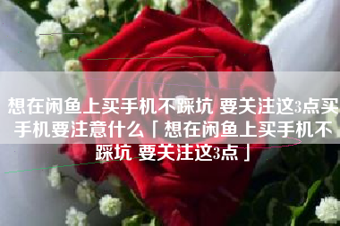 想在闲鱼上买手机不踩坑 要关注这3点买手机要注意什么「想在闲鱼上买手机不踩坑 要关注这3点」