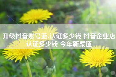 升级抖音账号蓝v认证多少钱 抖音企业店认证多少钱 今年新渠道