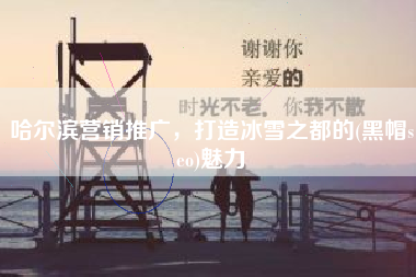 哈尔滨营销推广，打造冰雪之都的(黑帽seo)魅力