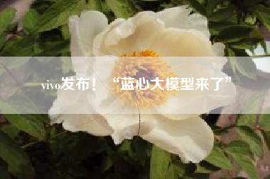 vivo发布！“蓝心大模型来了”